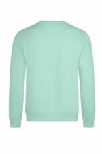 Sweatshirt Rundhals SCN300U_519_2_1000.jpg